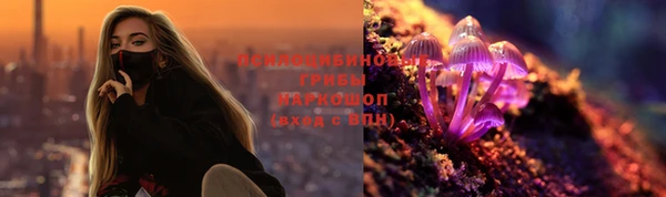 дмт Гусев
