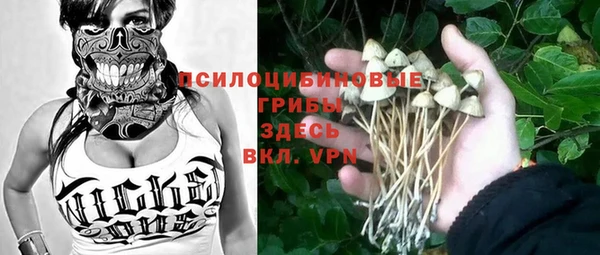 соль курить ск Горно-Алтайск