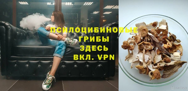 дмт Гусев