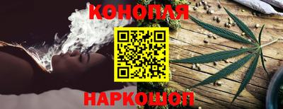 сатива Ирбит
