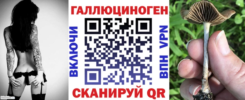 Псилоцибиновые грибы прущие грибы  Обь 